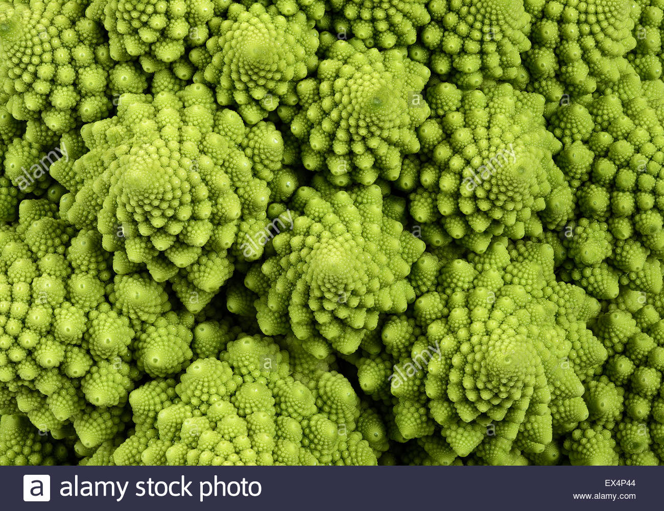 Romanesco Cauliflower Background Stock Photo