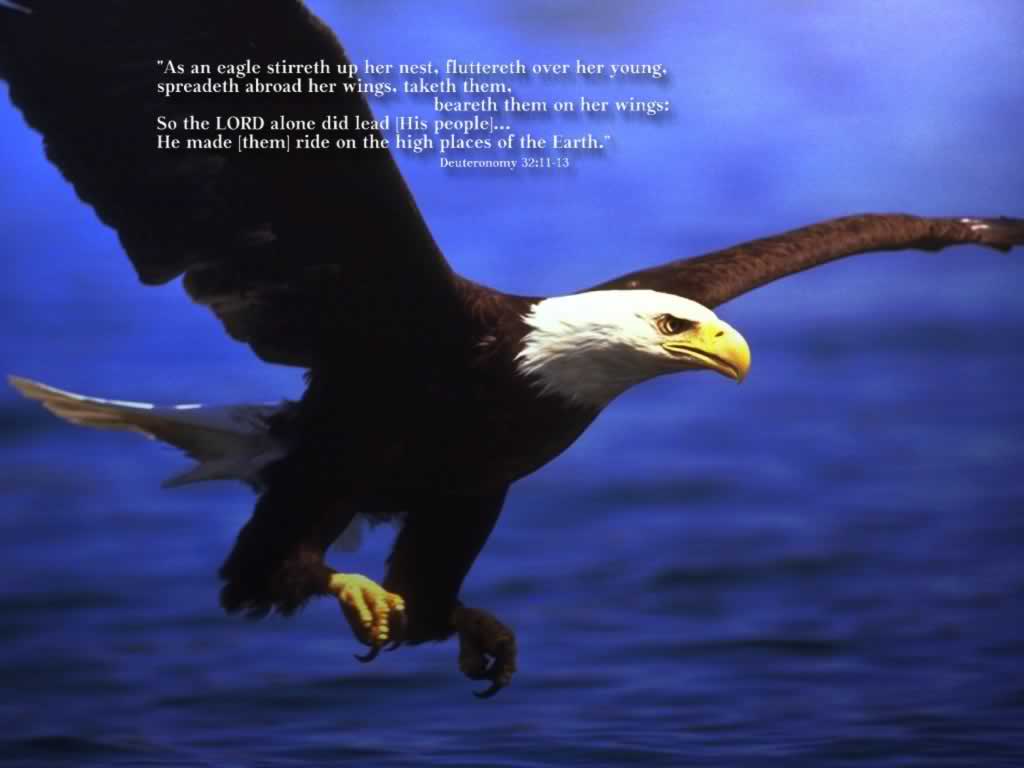 Like An Eagle Wallpaper Christian And Background