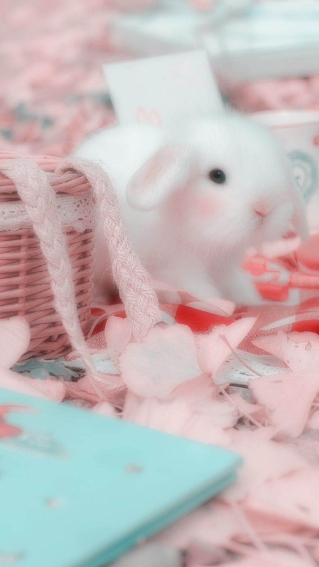 Aesthetic Bunny Wallpaper