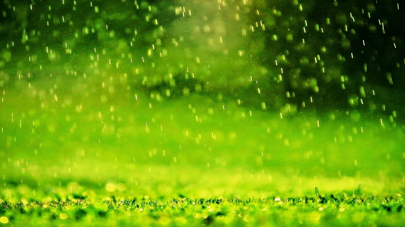 Rain Puter Wallpaper And Background Of