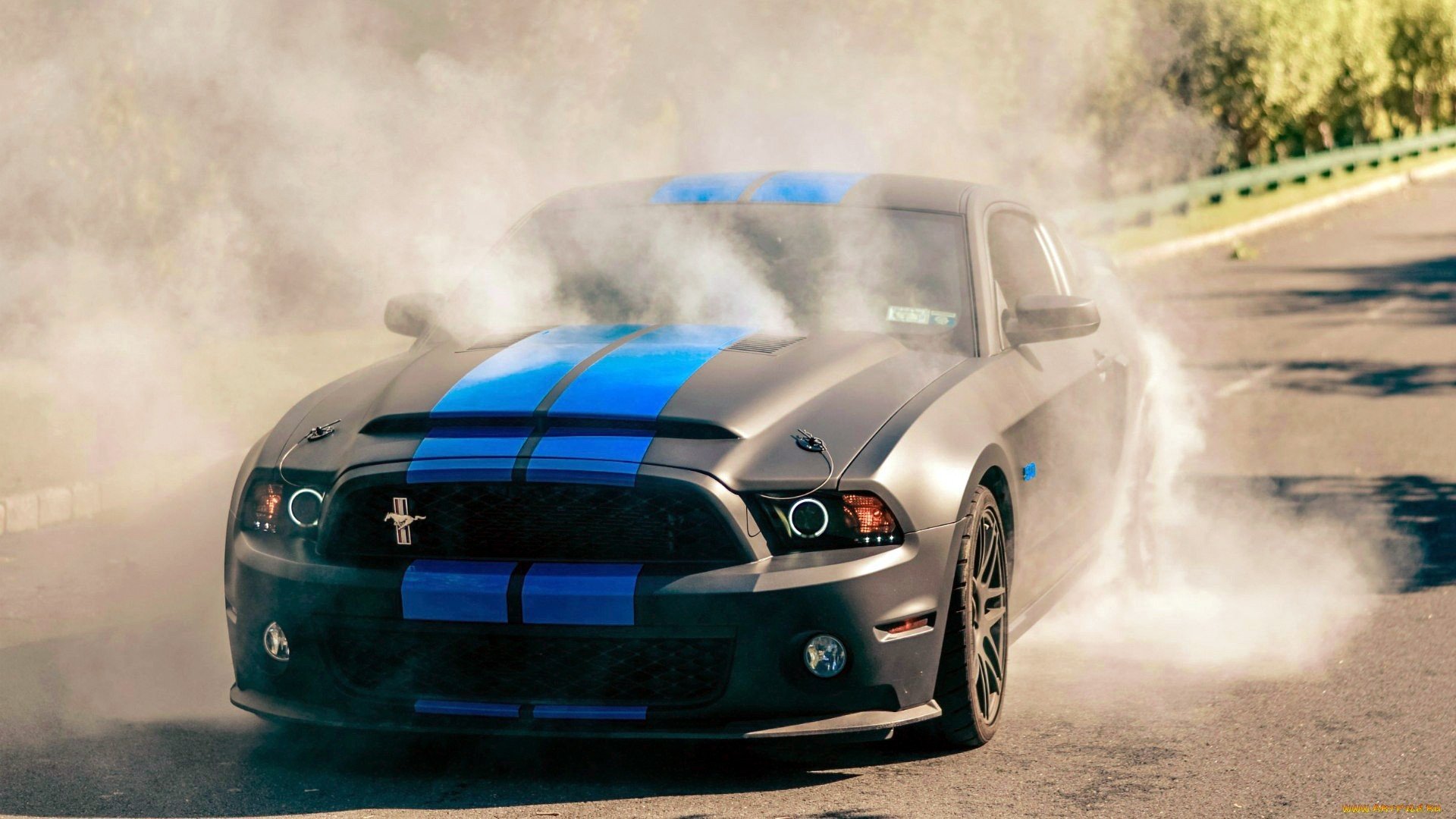 Ford Mustang Burnout Muscle Car Shelby Gt500 Gt