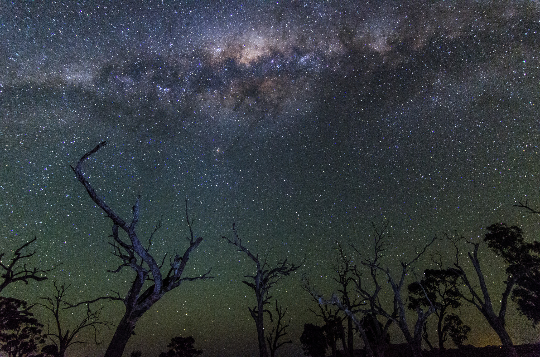 Wallpaper Space Stars Milky Way Night Trees