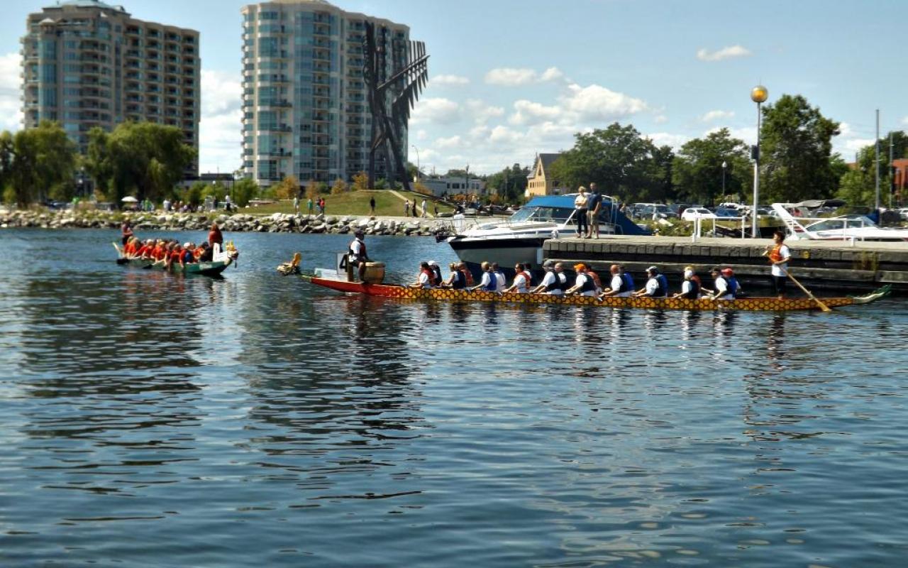 Barrie S Dragon Boat Race High Quality And Resolution