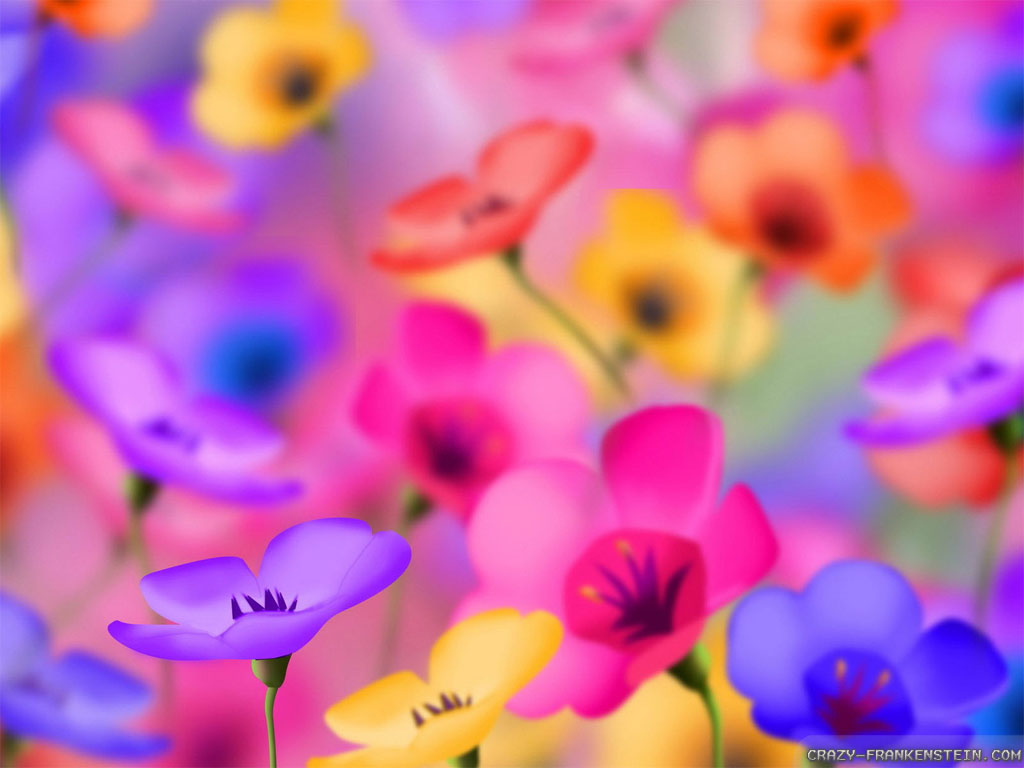 Colorful Flowers Wallpaper