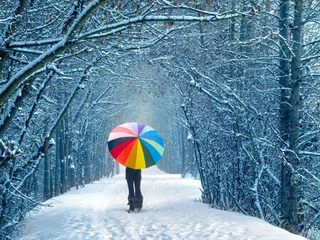 The Best HD Wallpaper And Image For Winter