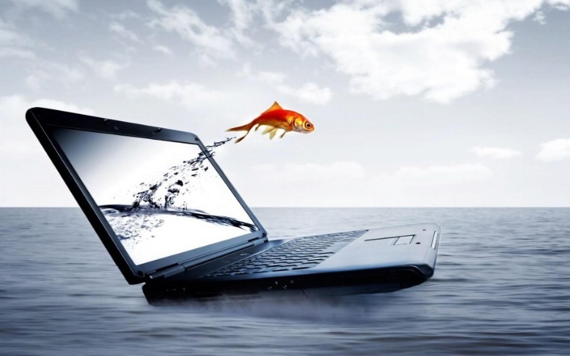 Alfa Img Showing Orvis Fly Fishing Desktop Wallpaper