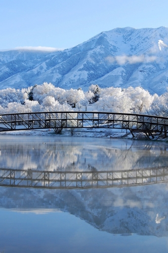 Winter Landscape iPhone HD Wallpaper