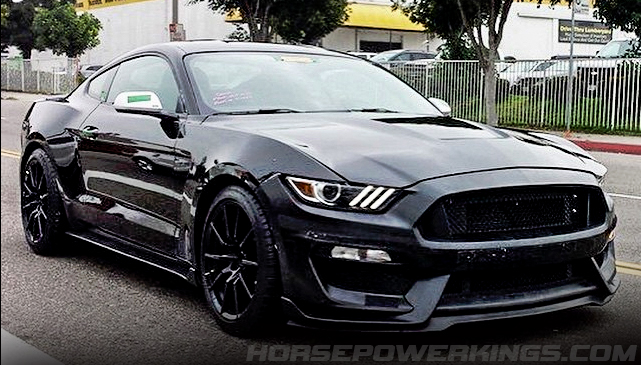 Black Gt350 Caught Out In Public