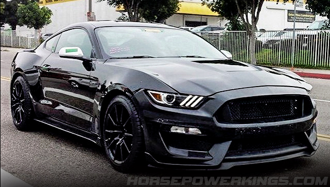 Black gt350 Caught Out In Public