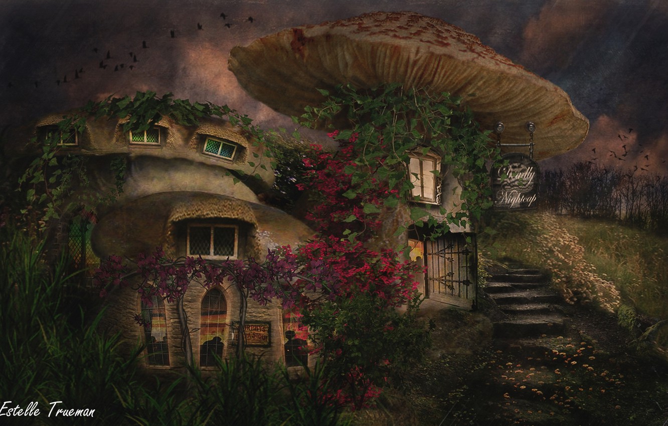Wallpaper Mushrooms Mushroom Houses Image For Desktop Section