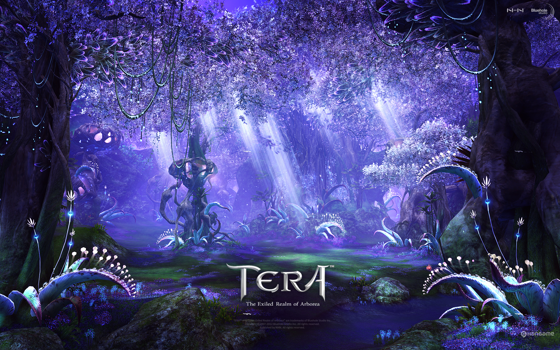 Tera Online Fantasy Anime V Wallpaper