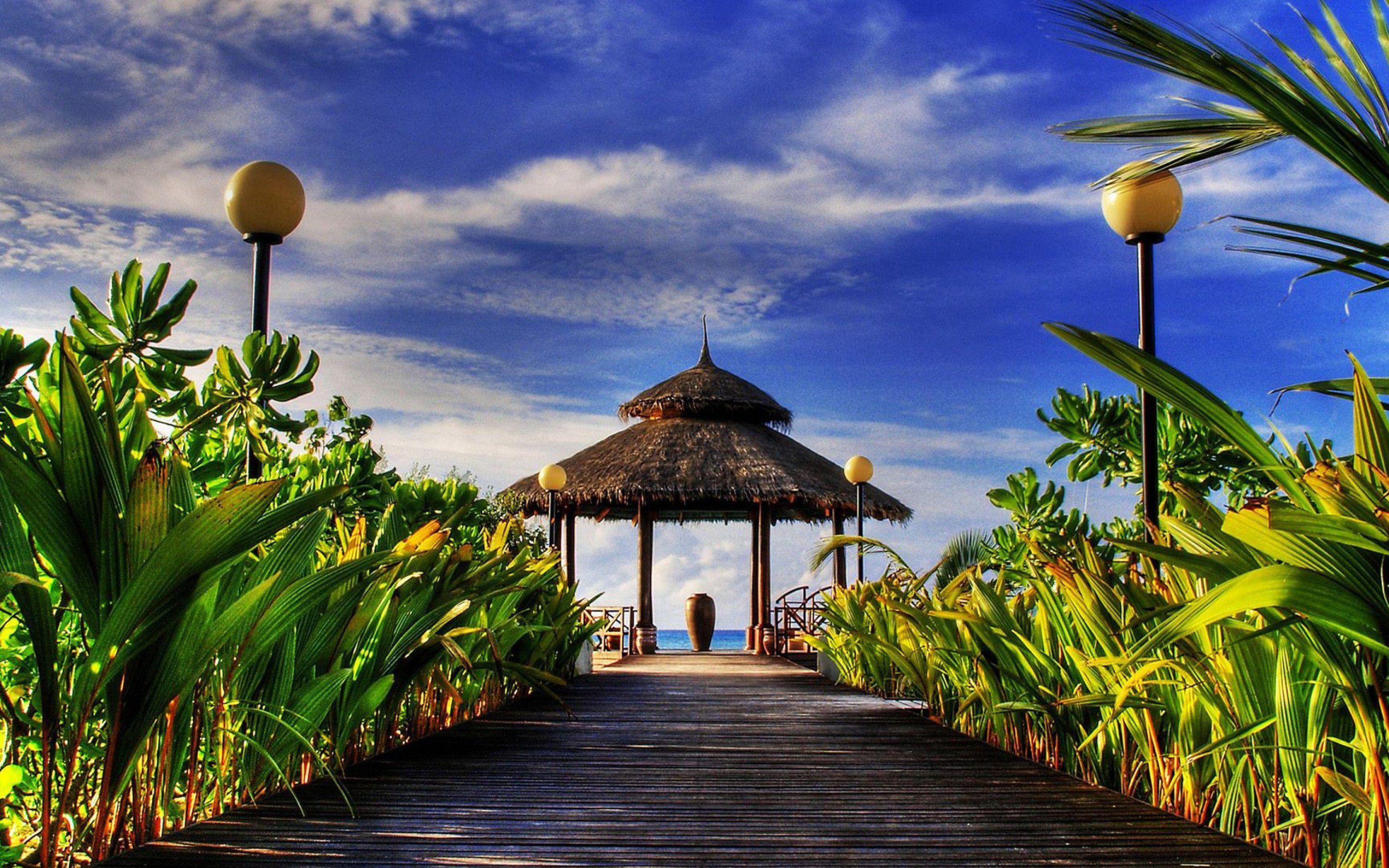 Beach Resort Wallpaper