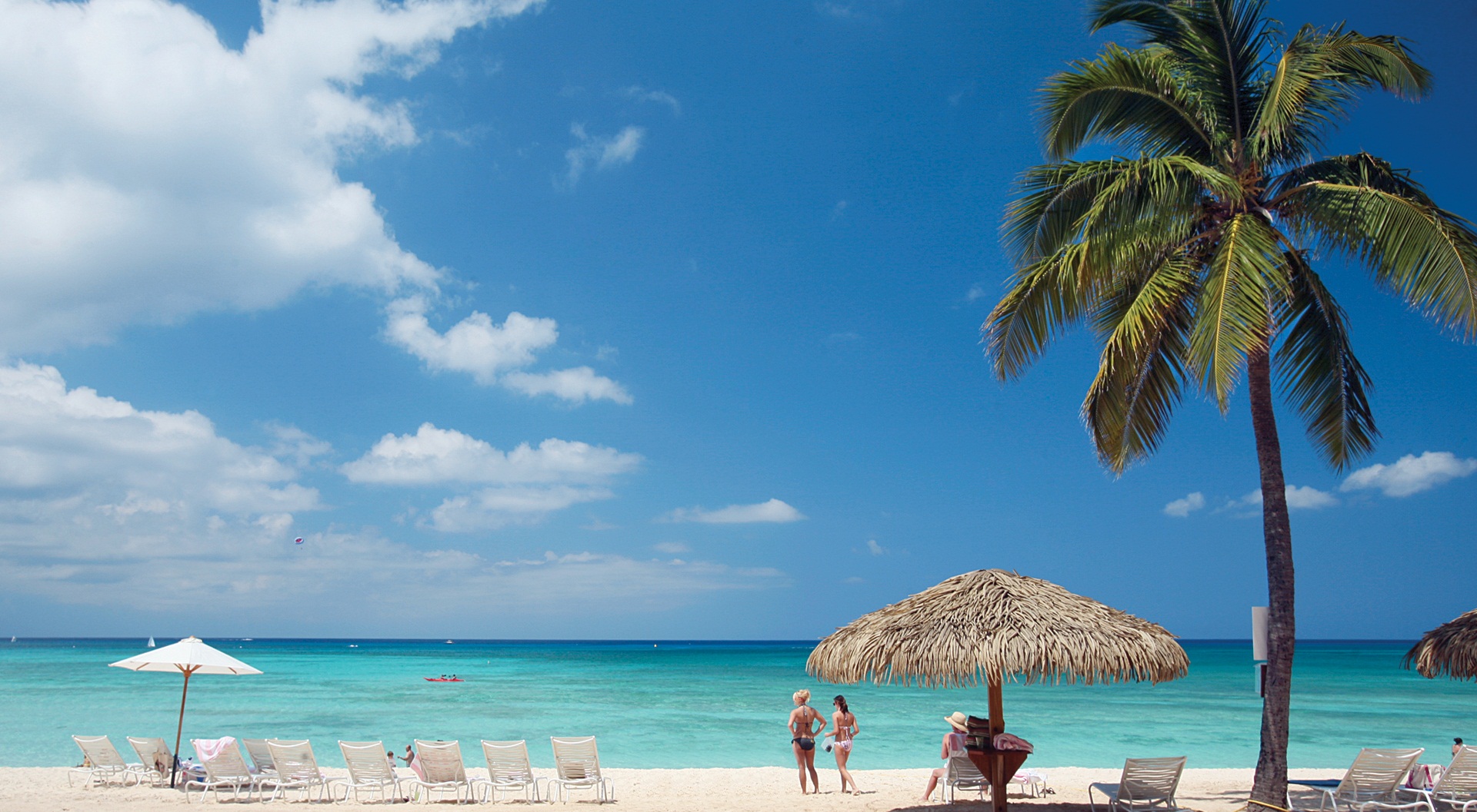 Beach Wallpaper Cayman Islands Caribbean Best Island