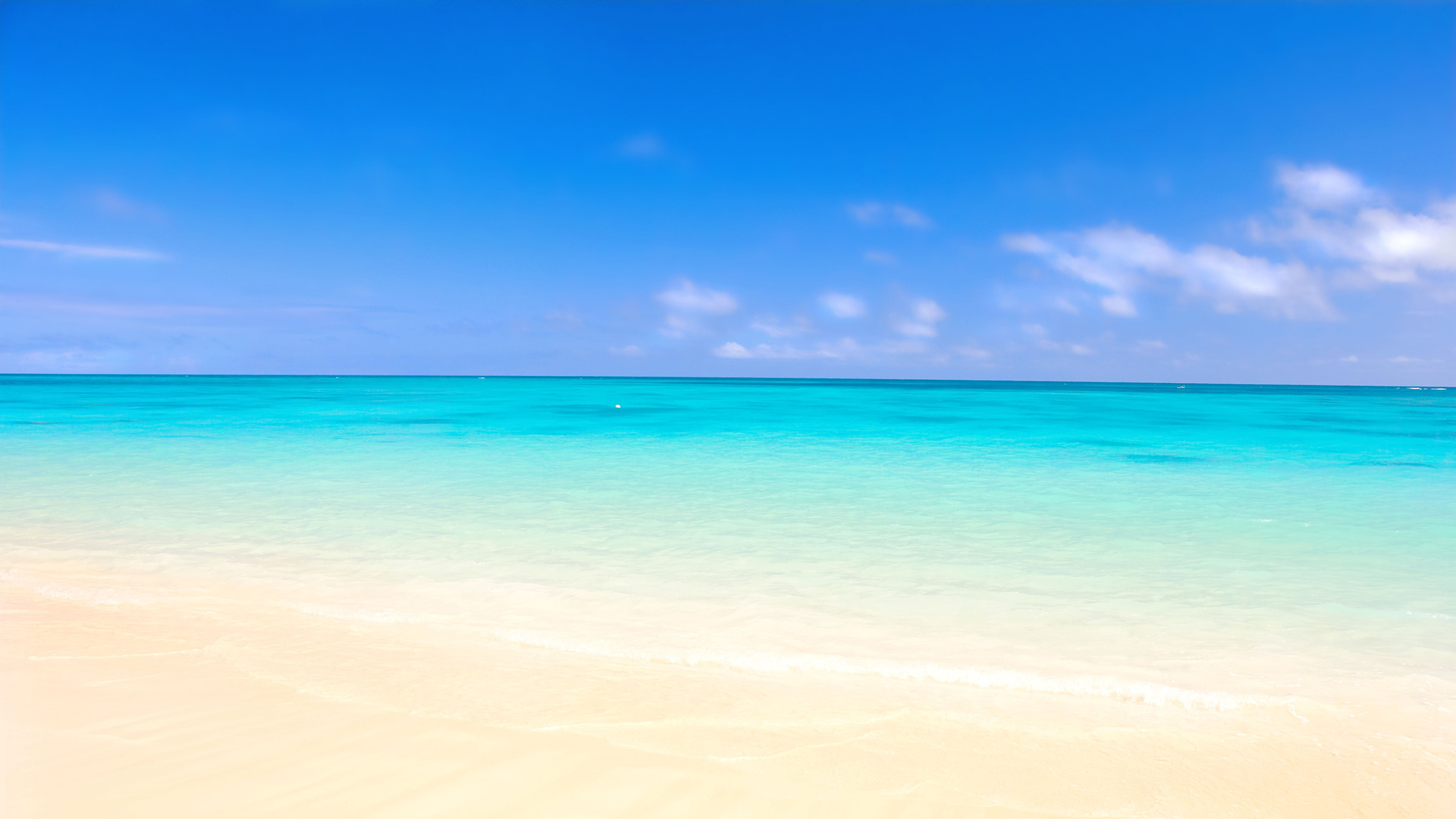 Blue Sky Sea Beach HD Desktop Wallpaper Whitsand Bay Self Catering