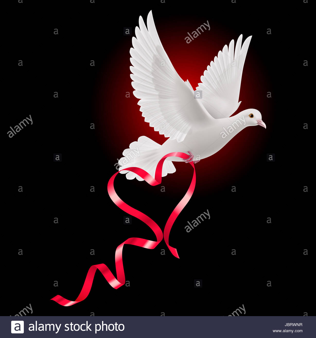 White Dove With Red Ribbon The Dark Background Stock Photo