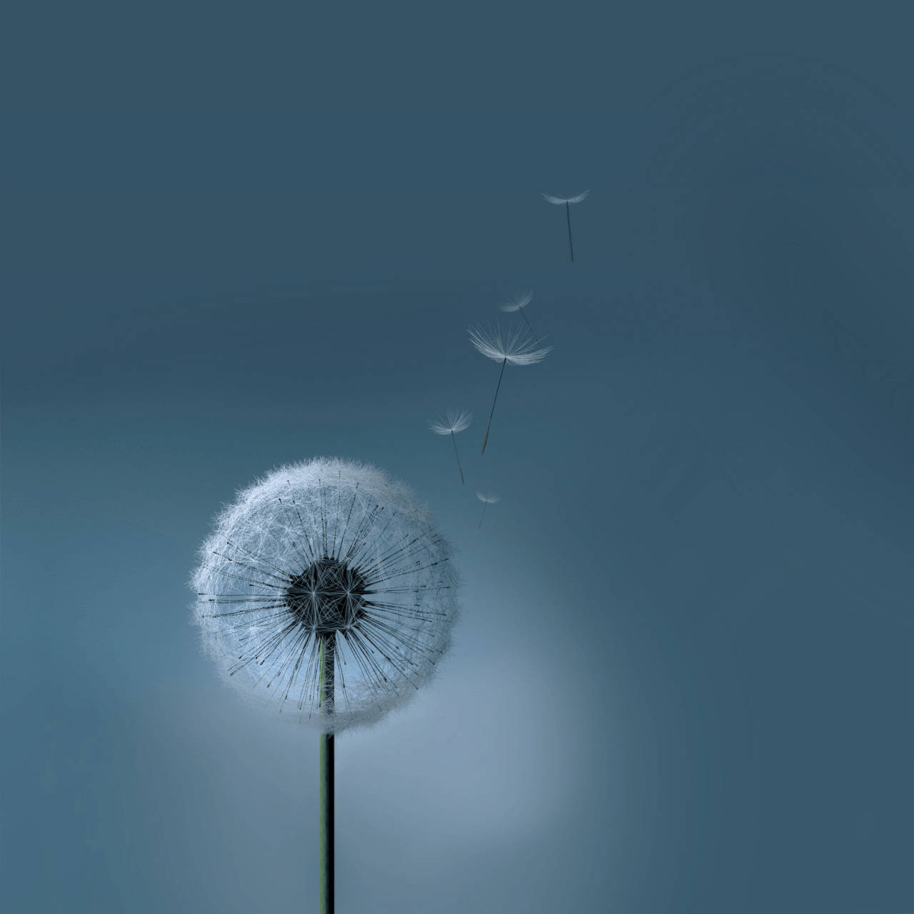 Top Samsung Galaxy Tablet Wallpaper Full HD 4k To Use