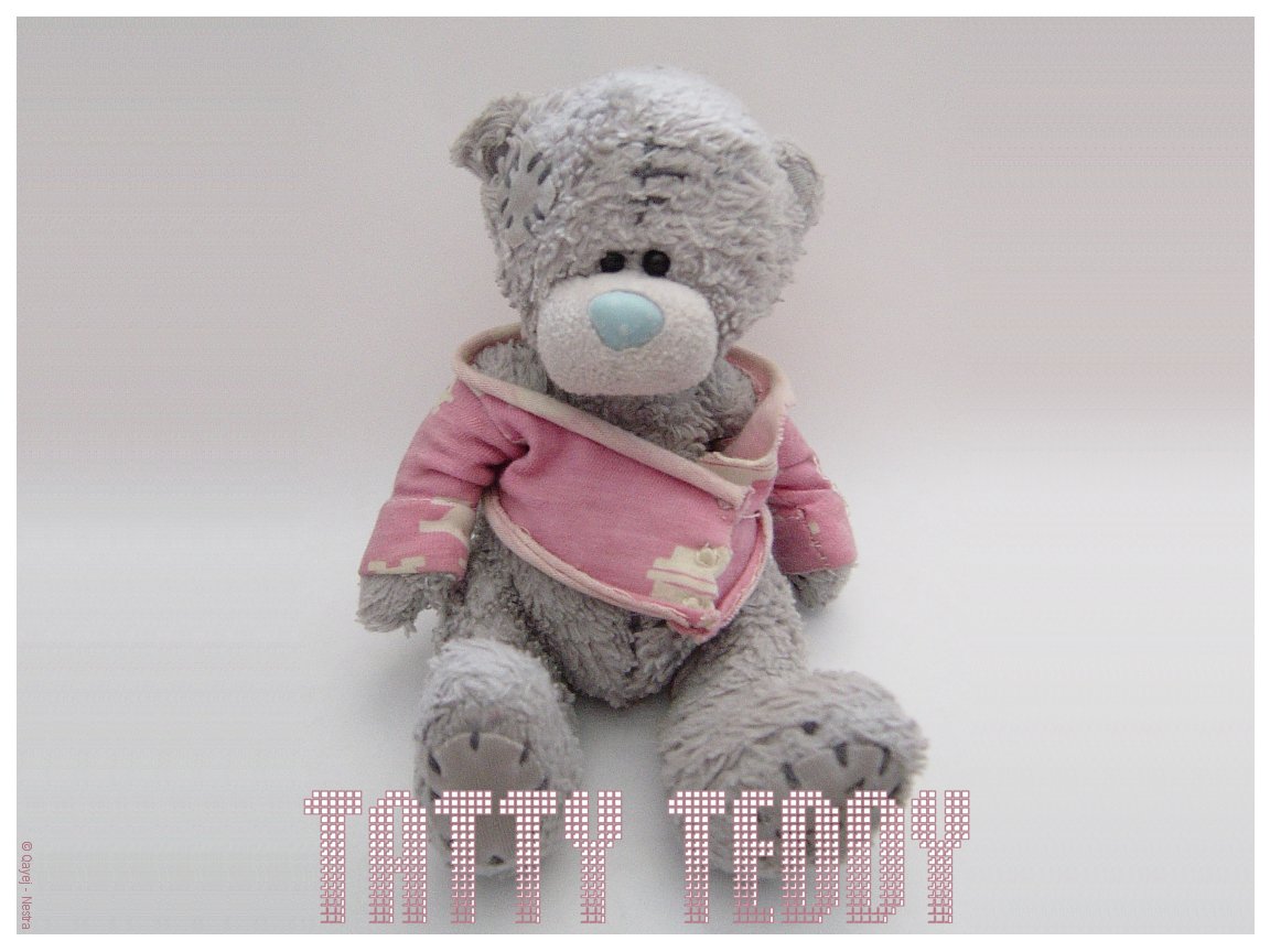 Tatty Teddy By Nestra