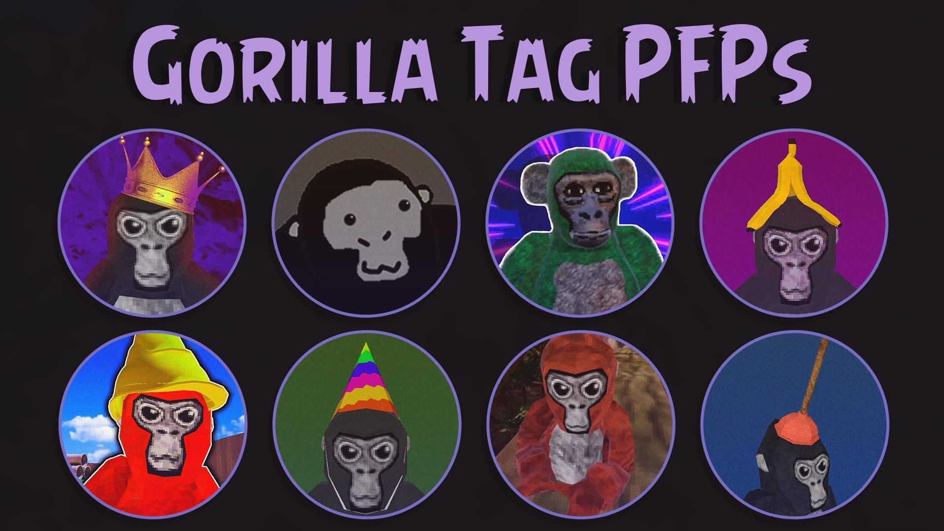  Gorilla Tag Pfp Wallpapers