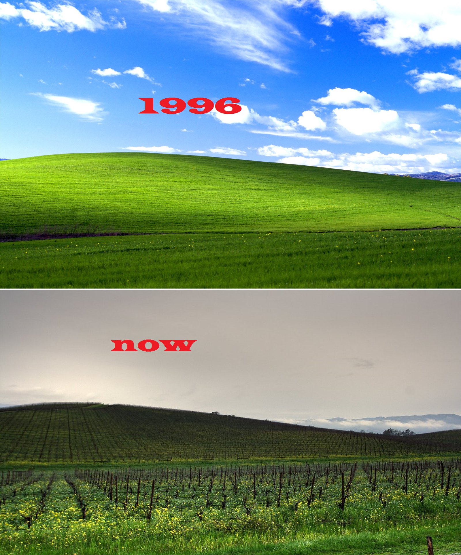 Windows Xp Bliss Then Now By I Use Vista
