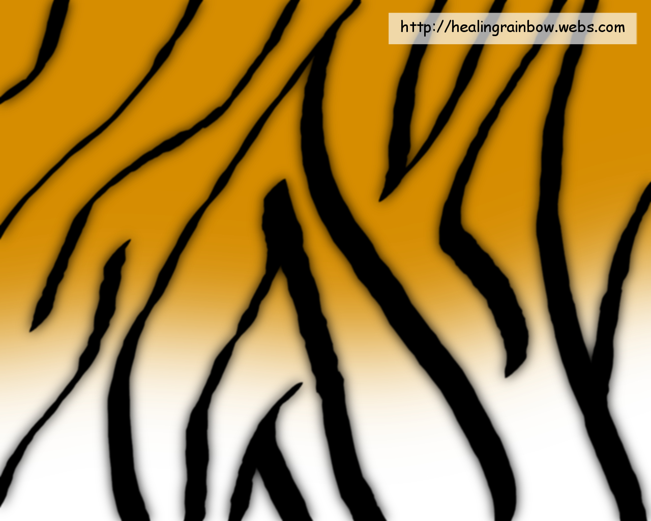 Tiger Fur By Anna Desktop Wallpaper