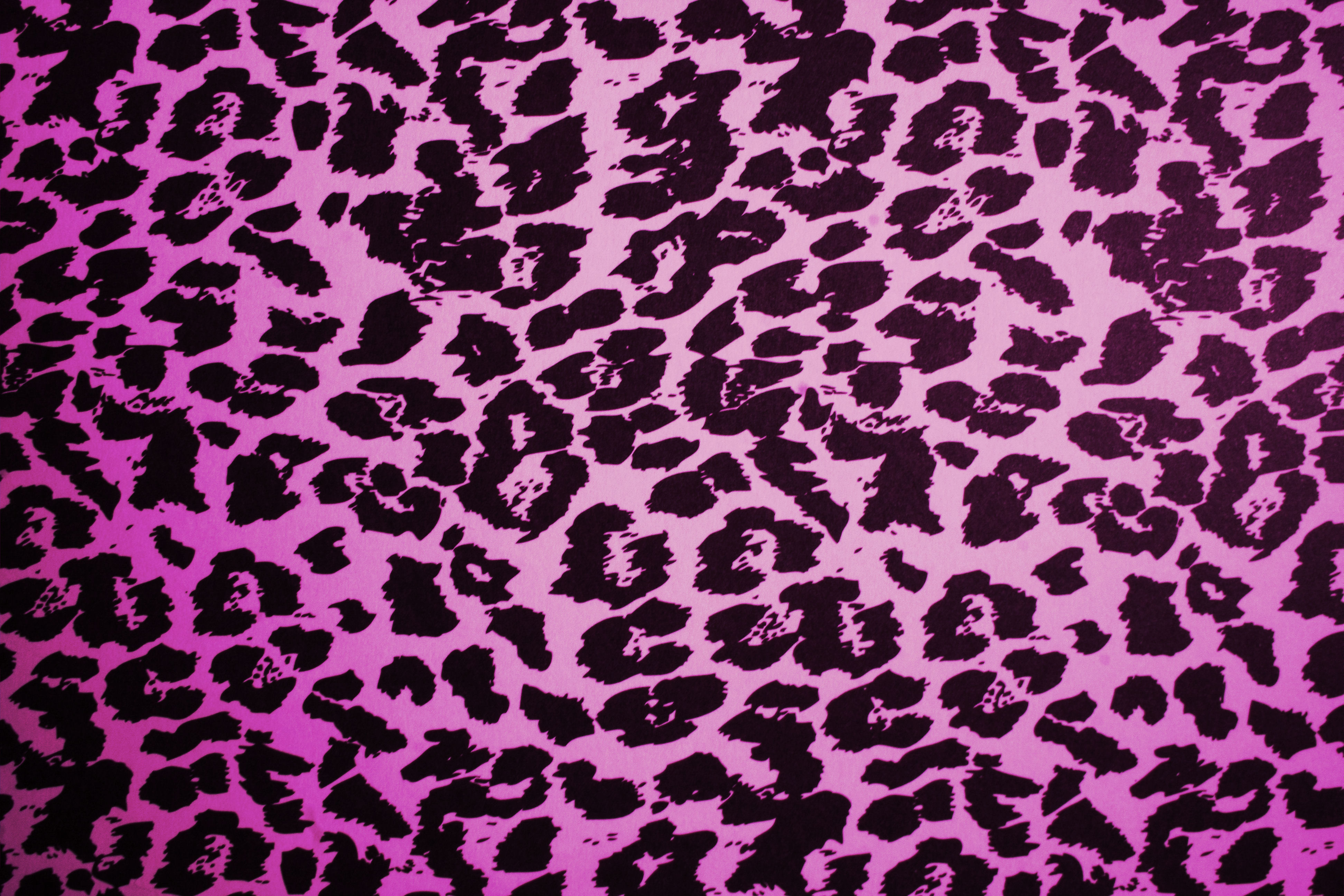 Leopard Wallpaper Pink Imagebank Biz