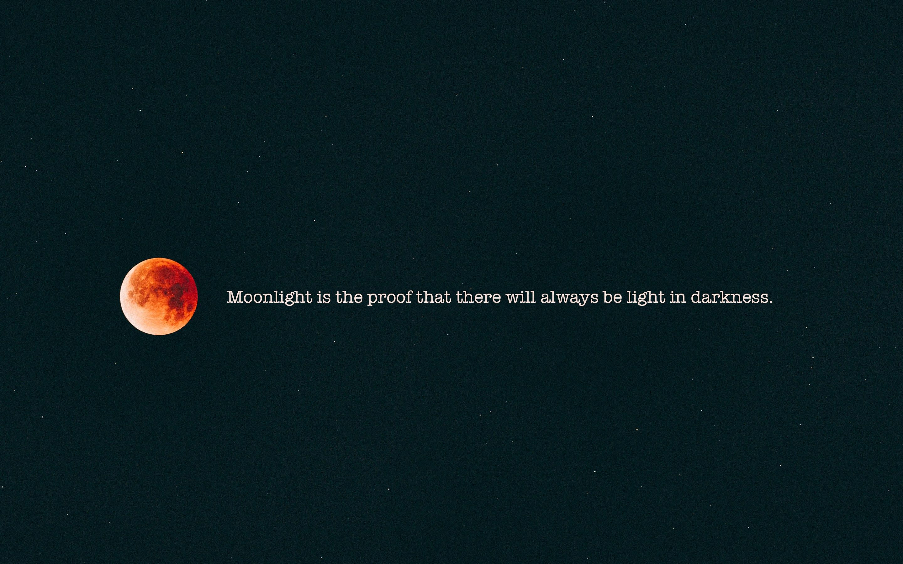 Moonlight Pter In Macbook Wallpaper Aesthetic Desktop