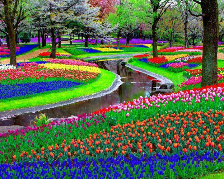 World Most Beautiful Garden Picture Wallpaper