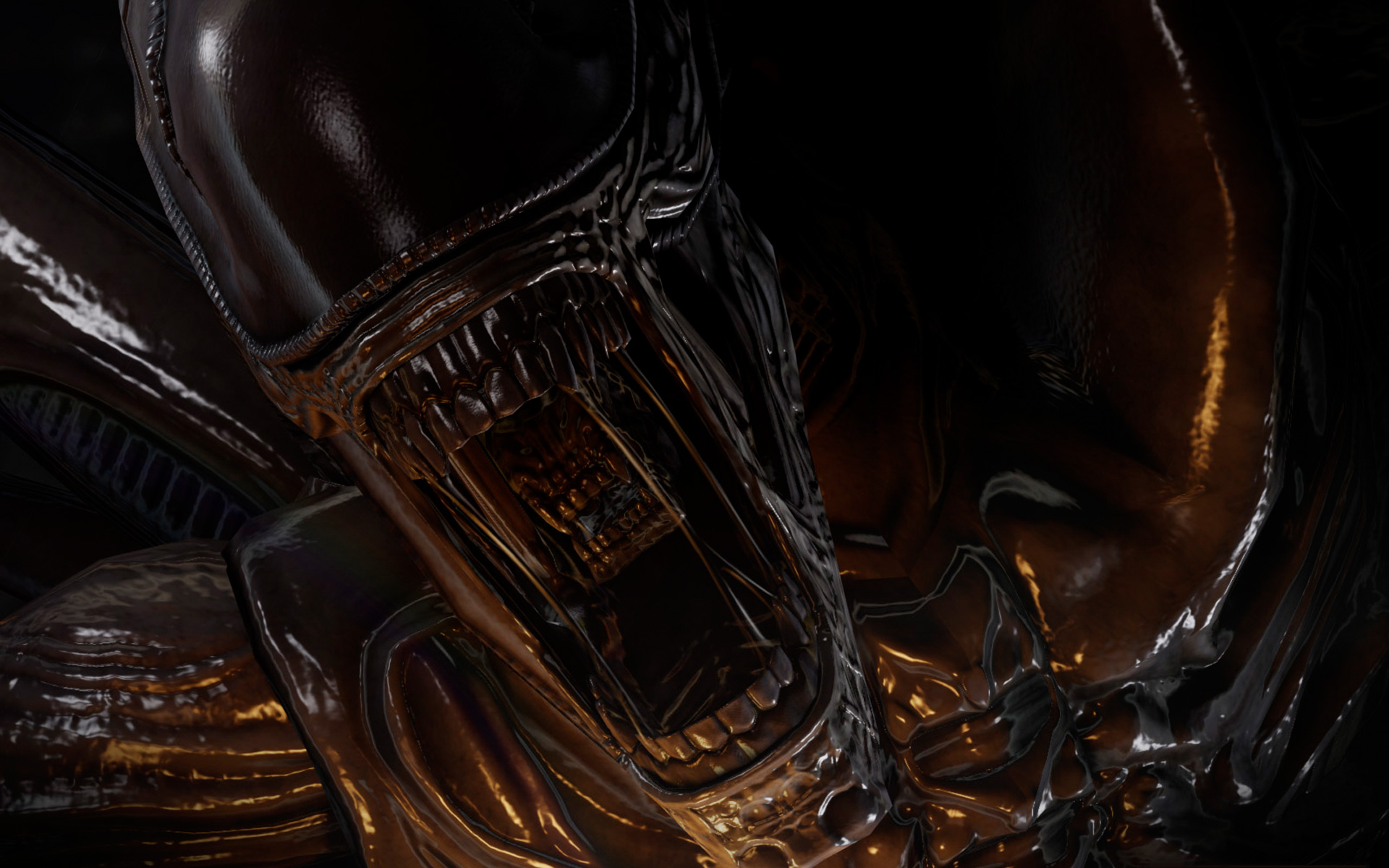 Aliens Vs Predator Puter Wallpaper Desktop Background