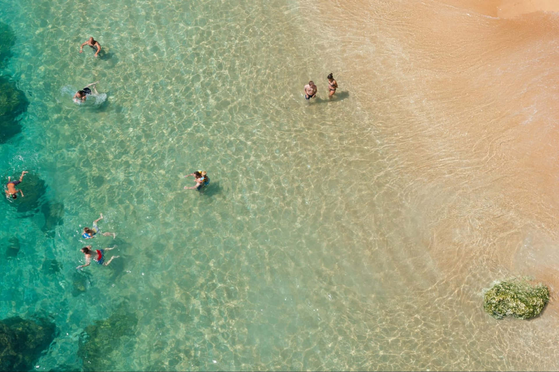 Shallow Drxd9nz0lk79dpsc Wallpaper