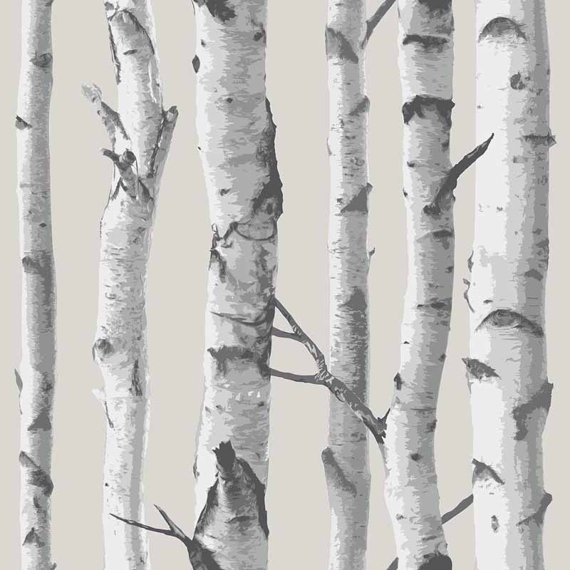 Birch Tree Peel And Stick NuWallpaper RosenberryRoomscom