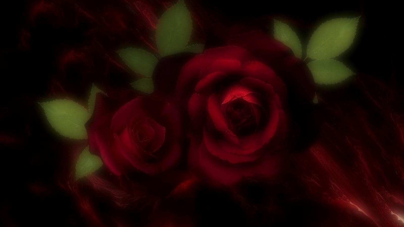 Burgundy Roses Wallpaper Beautiful HD Desktop Bacground Image