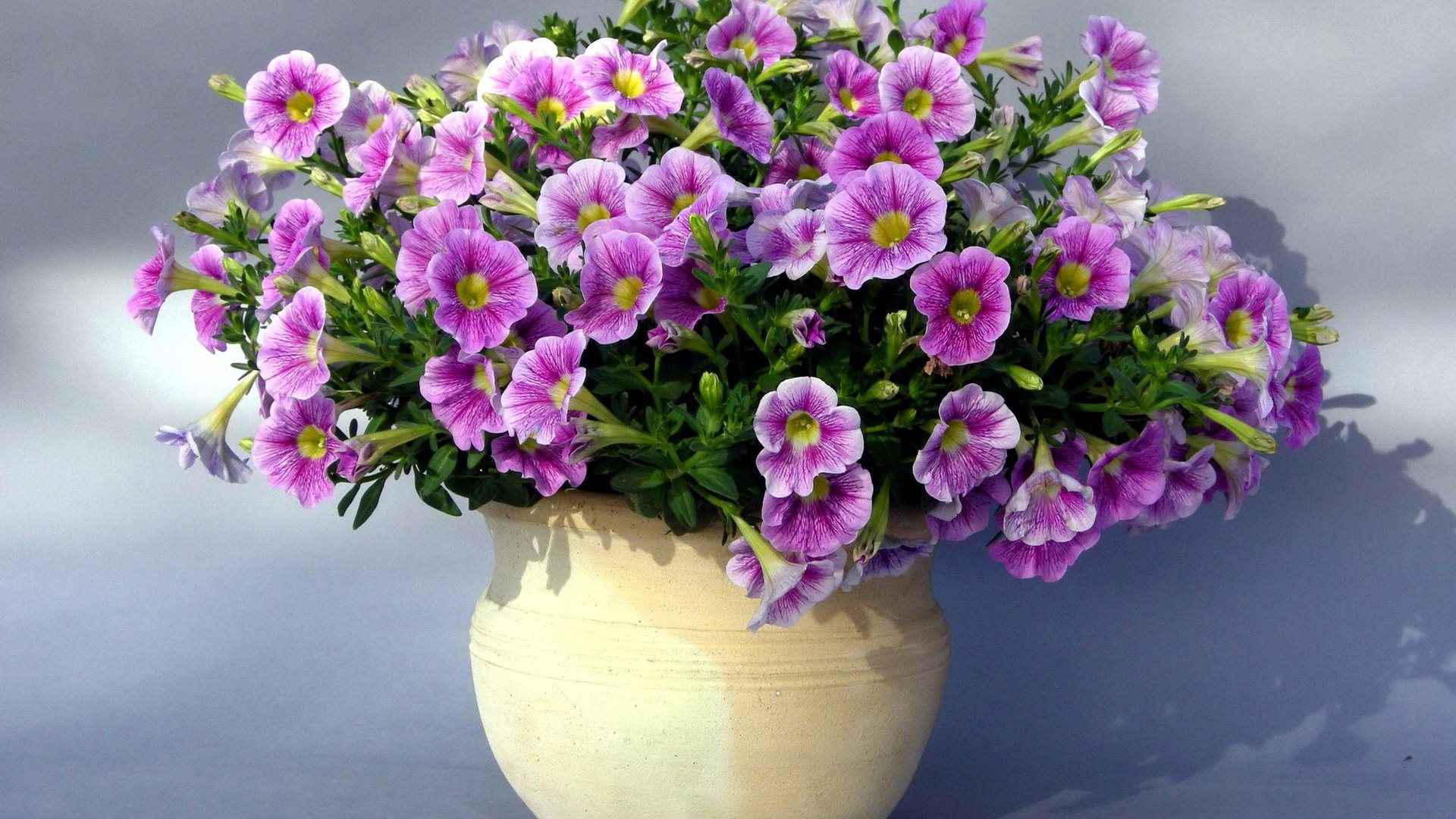 Description Purple Flowers Vase Wallpaper Is A Hi Res For