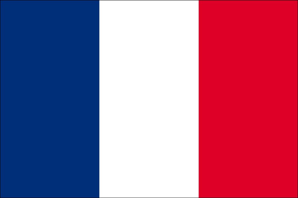 Paris Flag Wallpaper - WallpaperSafari