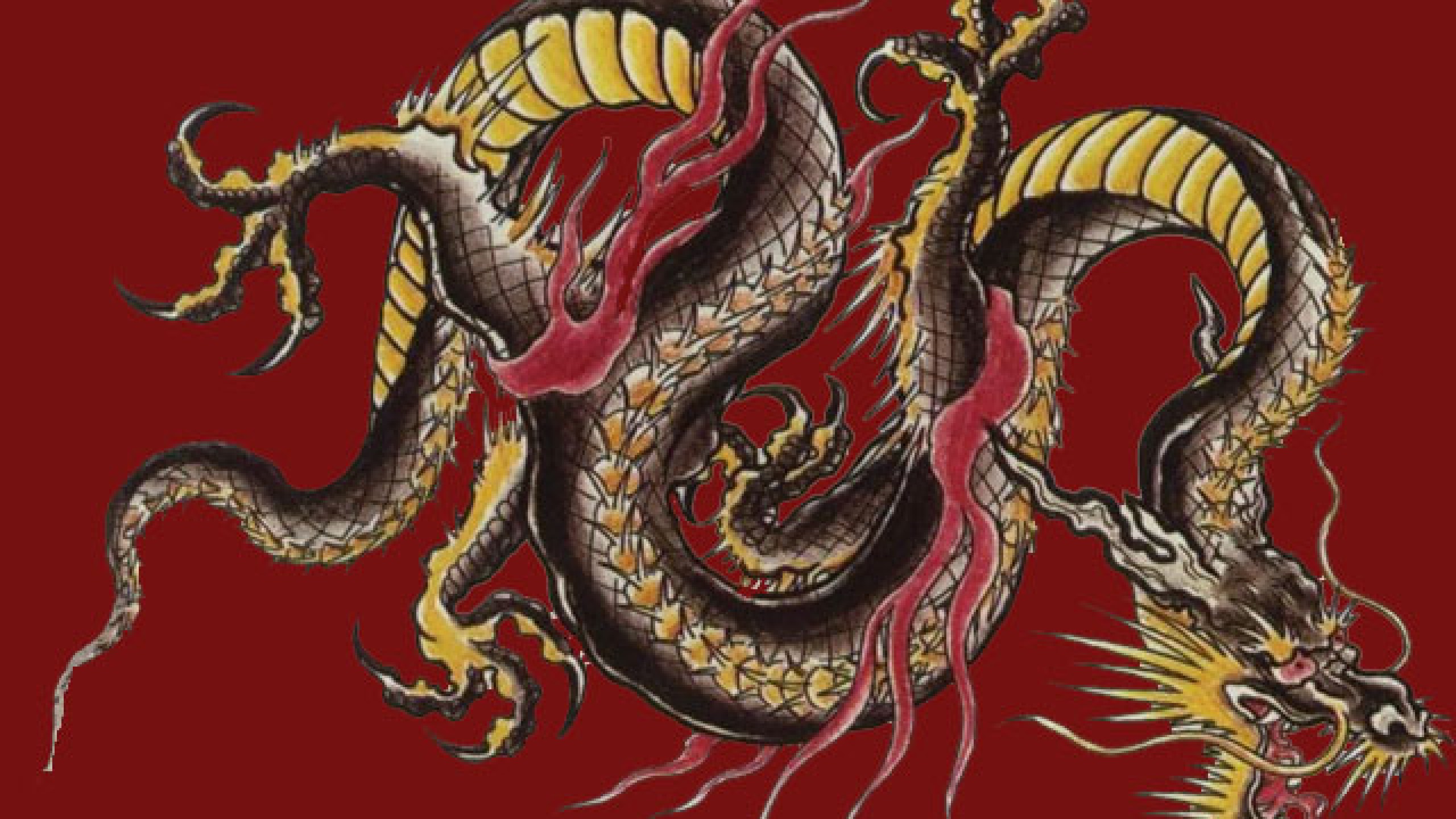 Asian Dragon Pictures Widescreen HD Wallpaper