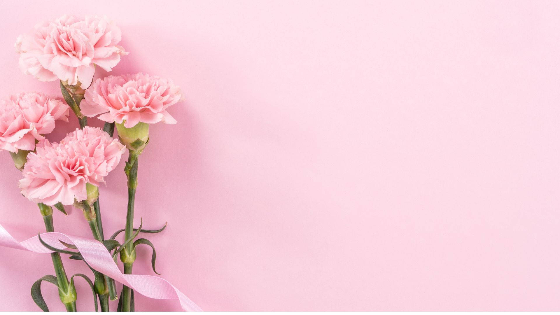 Baby Pink Wallpaper