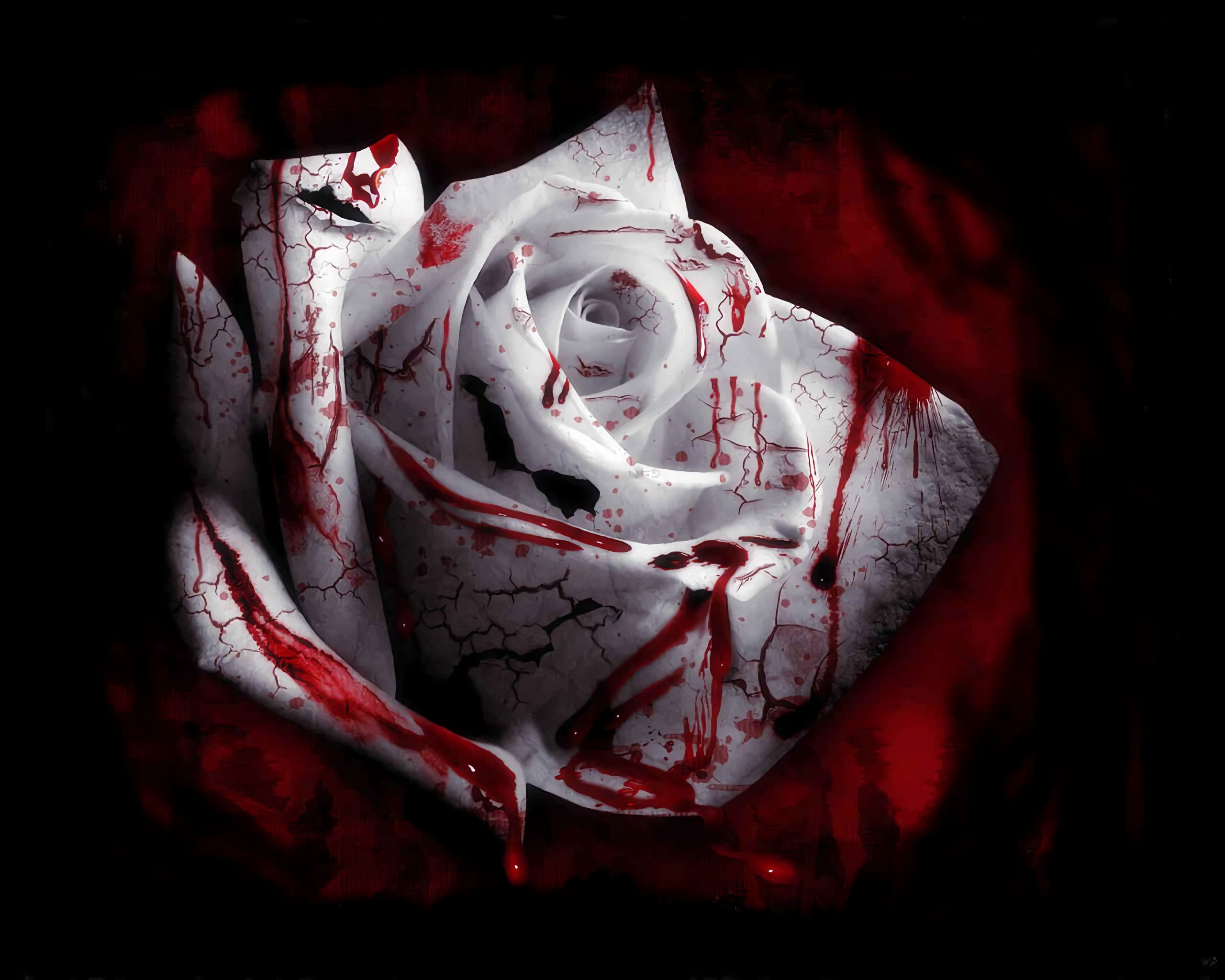 Bloody Roses Wallpaper Top Background