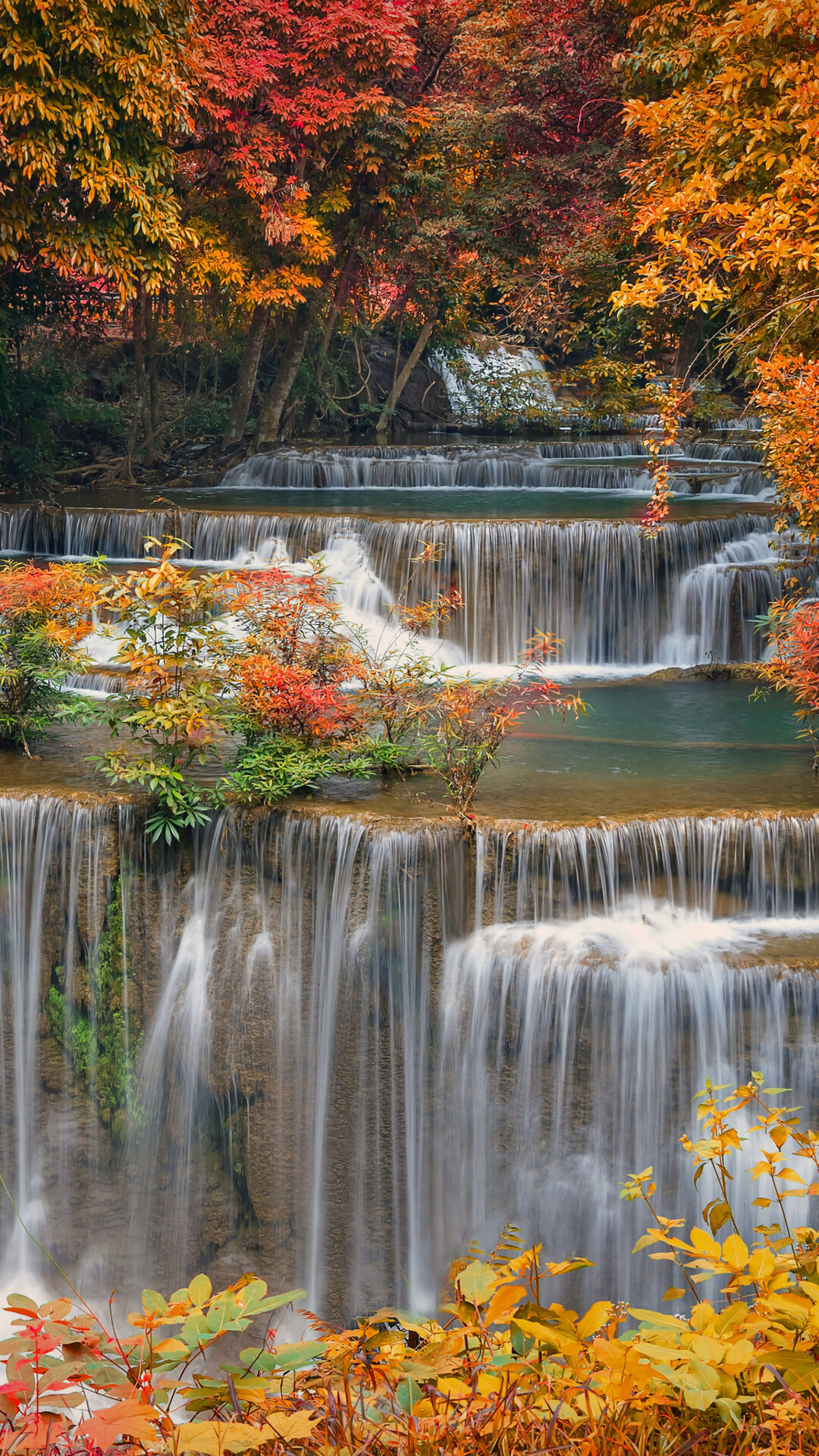 HD Nature Phone Wallpaper