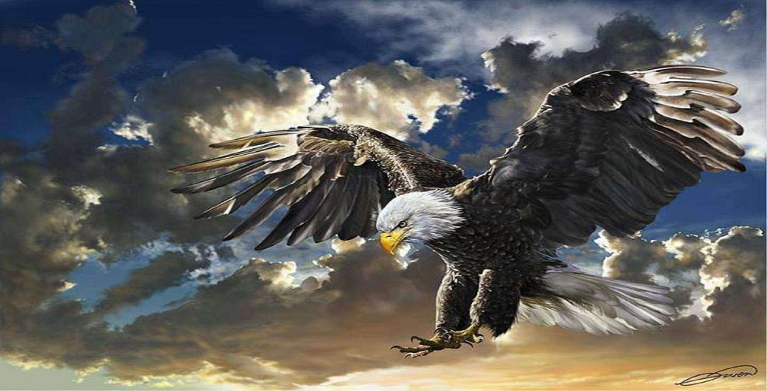 Gallery For Gt Eagle Painting