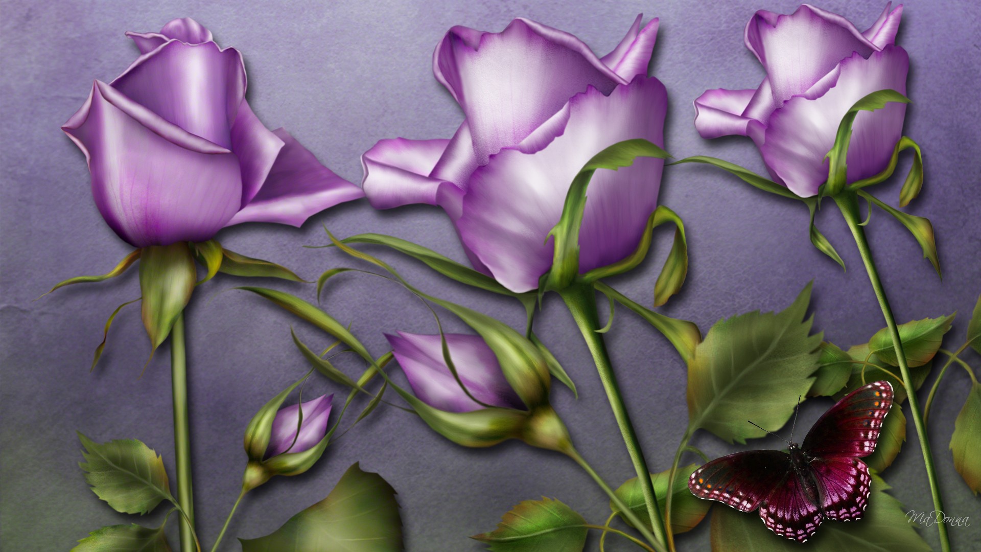 Purple roses and butterfly wallpapers and images wallpapers
