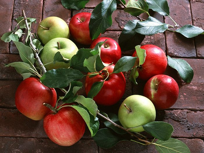 Fruit Apple Tree Wallpaper Du061