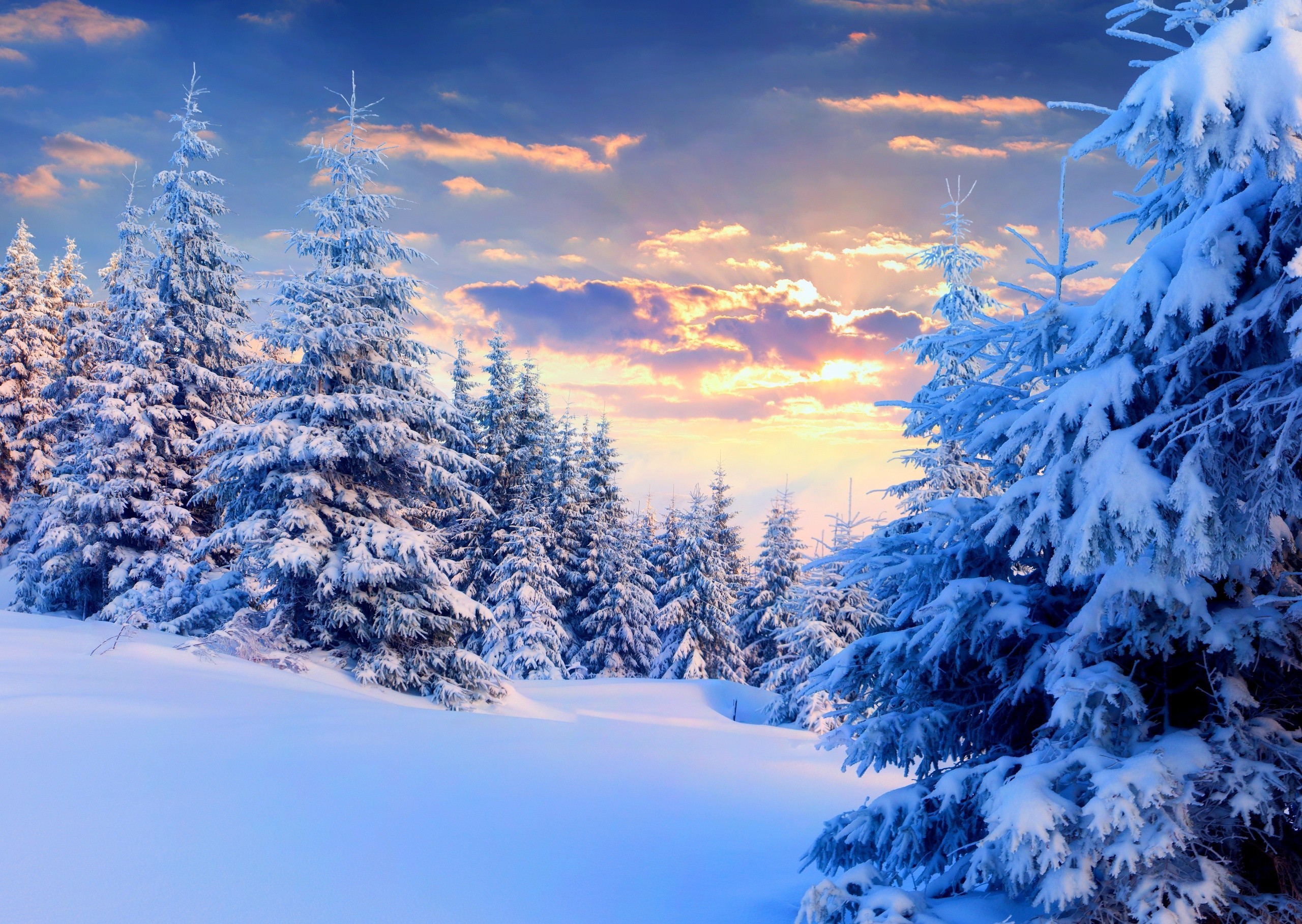 Winter Sunset HD Wallpaper