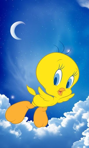  tweety bird wallpaper free more 30 pic it s a absolutelly free