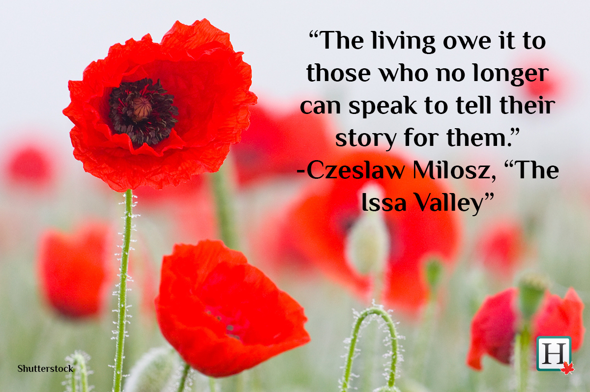 Remembering Remembrance Day Quotes Image And Wallpaper
