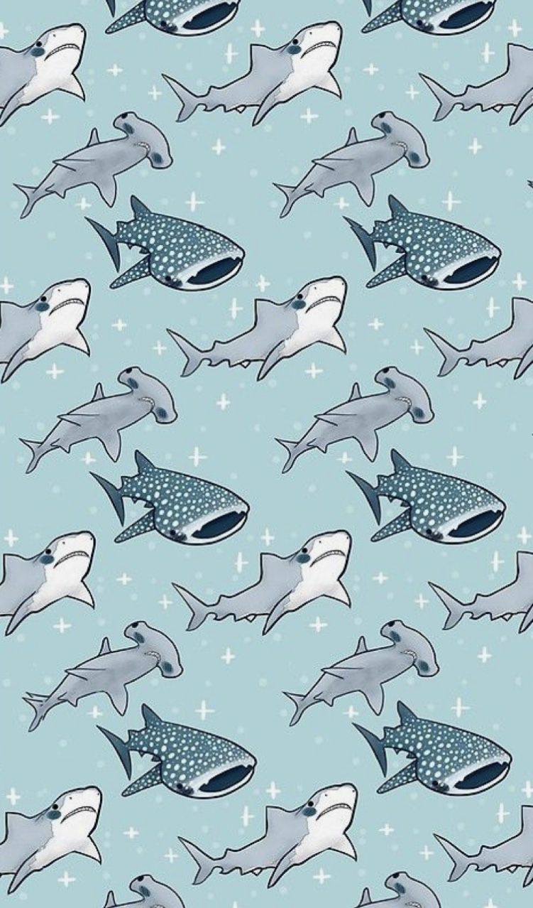 Cute Sharks Fabric Wallpaper and Home Decor  Spoonflower