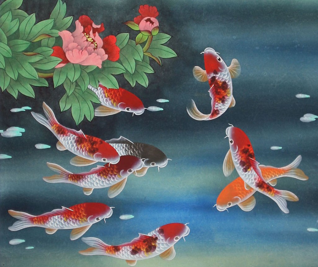 Koi Fish wallpaper