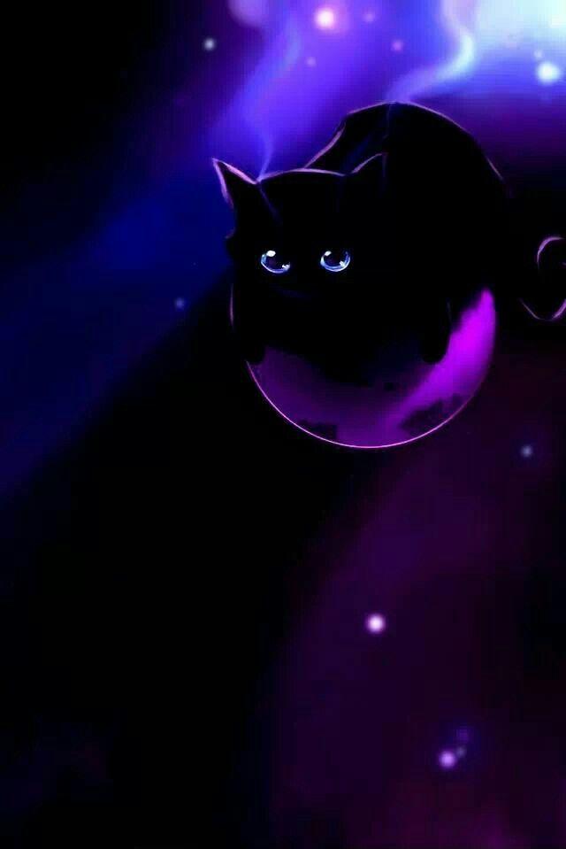 Purple Kitteh Black Cat Anime Wallpaper Cute Animal