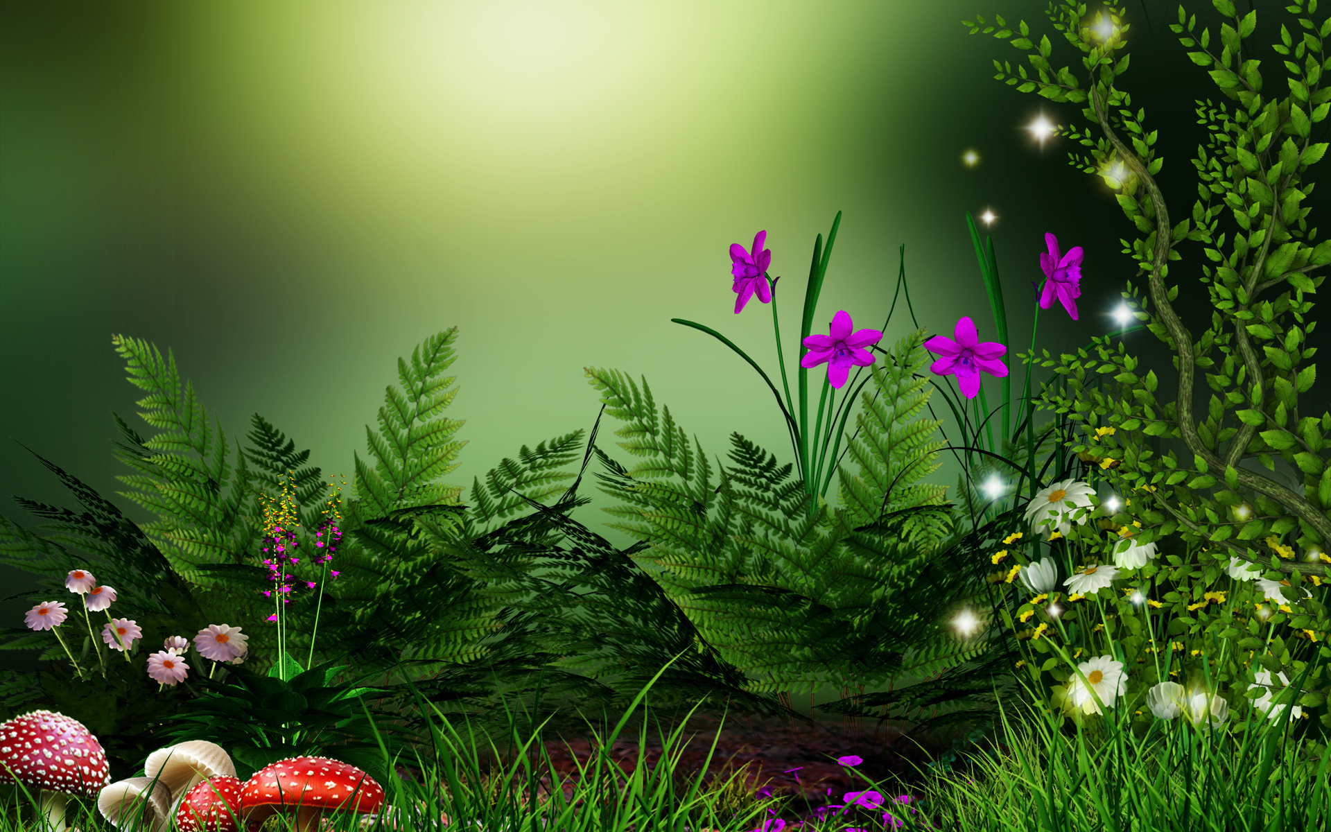 Flowers Grass Mushrooms Wallpaper HD Desktop And Mobile