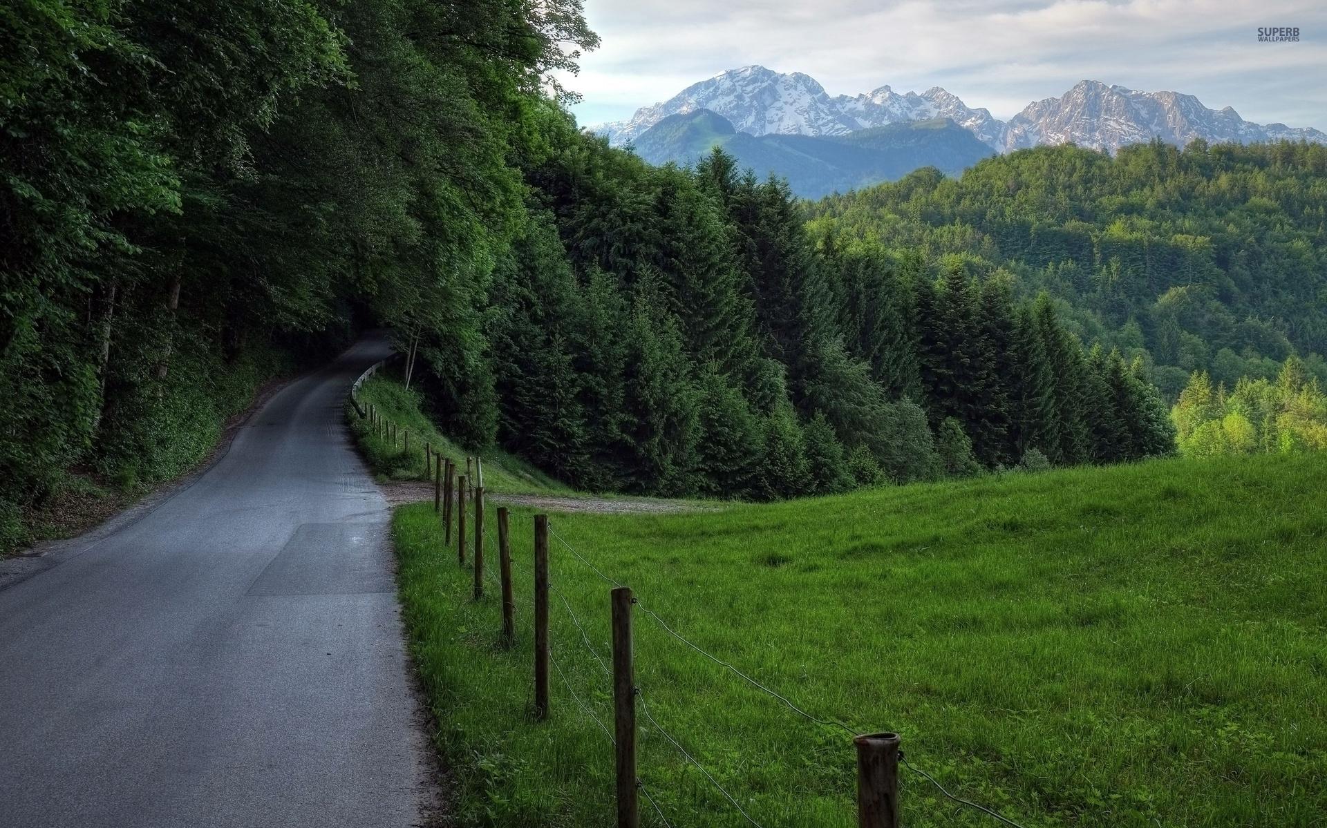 Forest Road Fences Mountains wallpapers Forest Road Fences