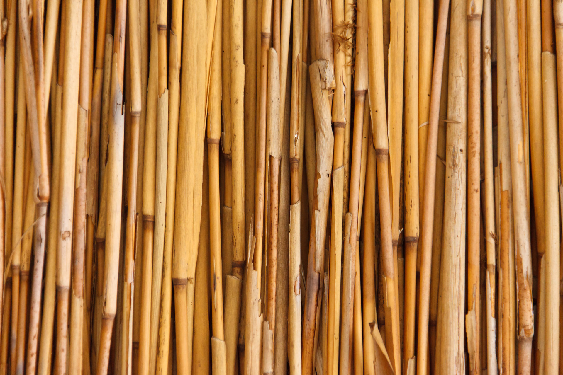 Bamboo Texture Stock Photo HD Public Domain Pictures