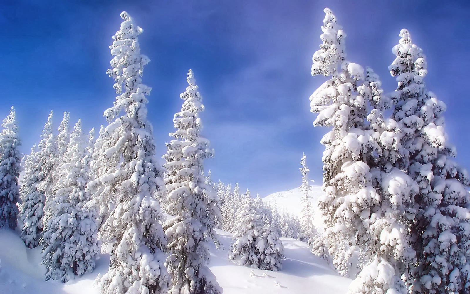 Snow Fall Winter HD Wallpapers   HD Wallpapers Blog